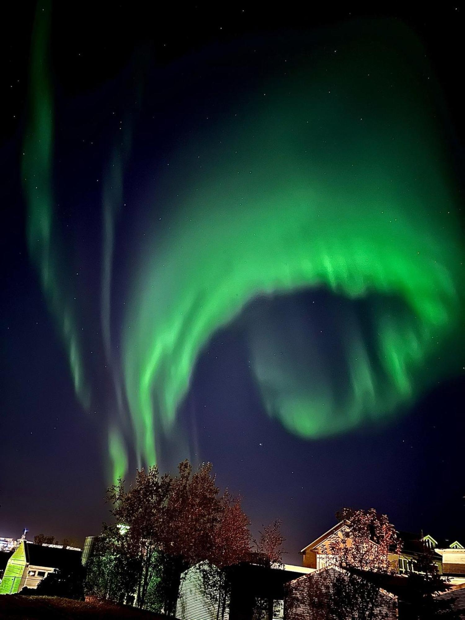 Casa Disa - Dreams, A Boutique Guesthouse In Reykjavik City'S Central Park And Botanical Garden In Laugardalur, Hot-Spring-Valley المظهر الخارجي الصورة