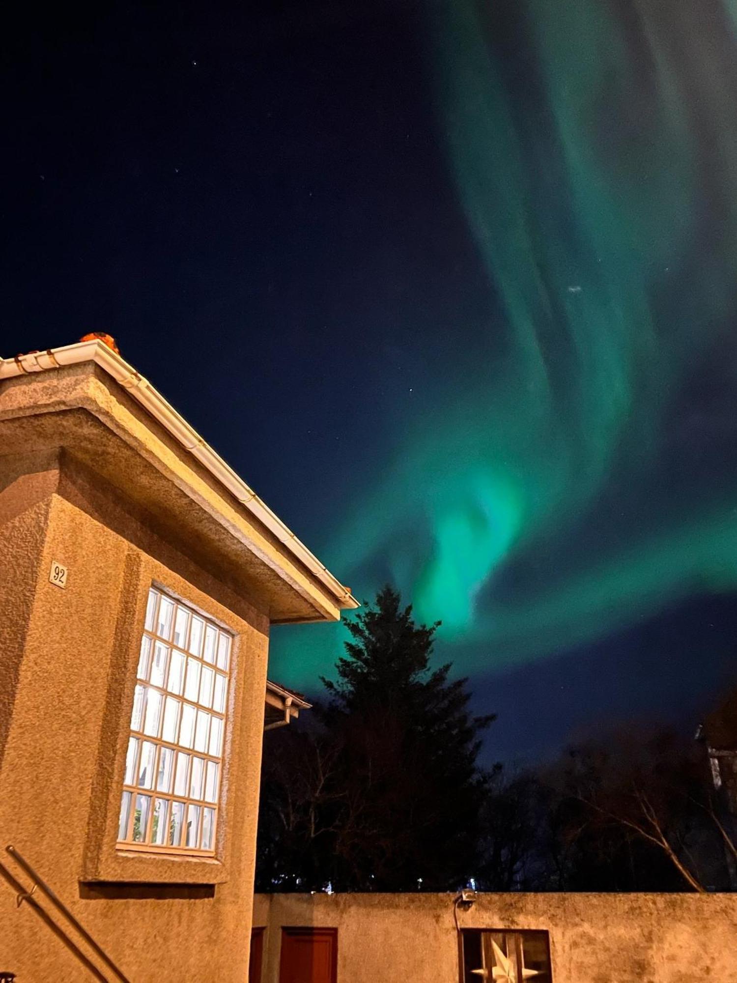 Casa Disa - Dreams, A Boutique Guesthouse In Reykjavik City'S Central Park And Botanical Garden In Laugardalur, Hot-Spring-Valley المظهر الخارجي الصورة
