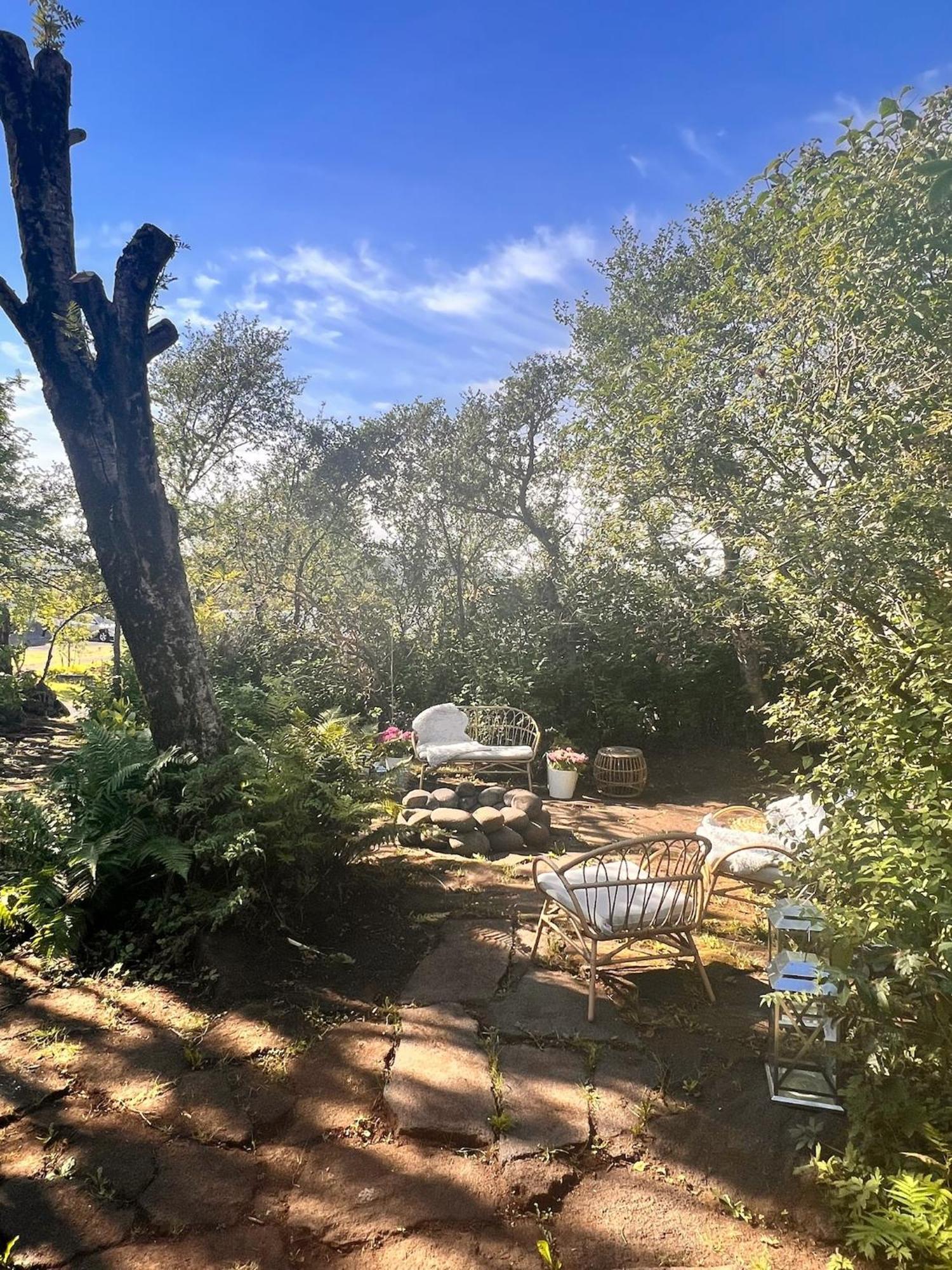 Casa Disa - Dreams, A Boutique Guesthouse In Reykjavik City'S Central Park And Botanical Garden In Laugardalur, Hot-Spring-Valley المظهر الخارجي الصورة