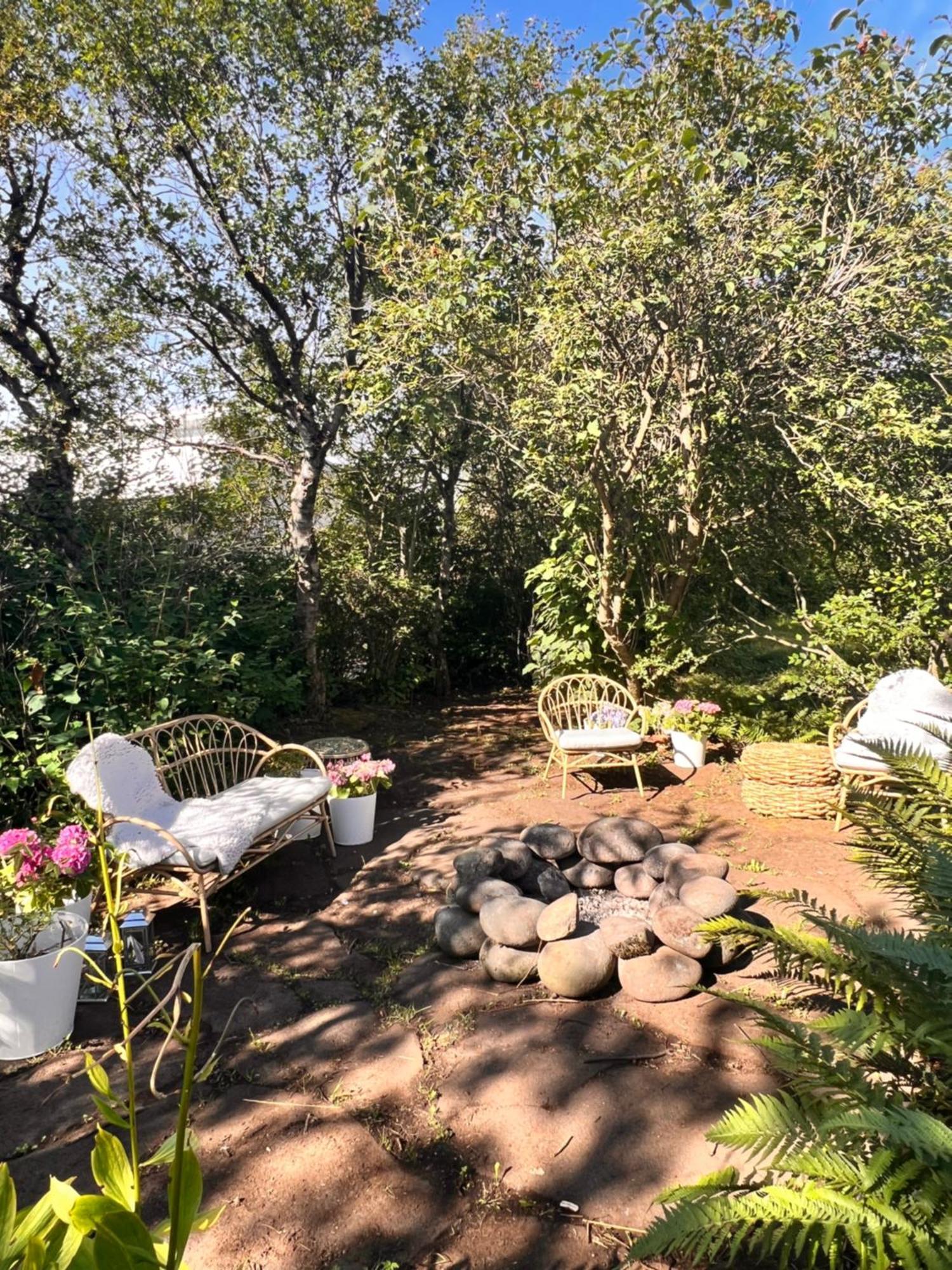 Casa Disa - Dreams, A Boutique Guesthouse In Reykjavik City'S Central Park And Botanical Garden In Laugardalur, Hot-Spring-Valley المظهر الخارجي الصورة